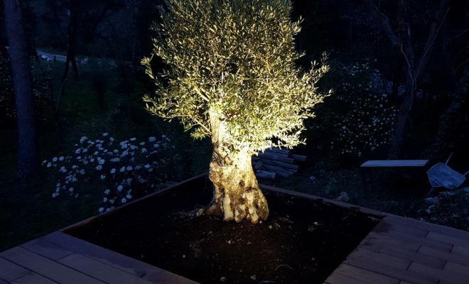 Terrasse en bois, Saint-Clément-de-Rivière, RJ Aménagements Extérieurs