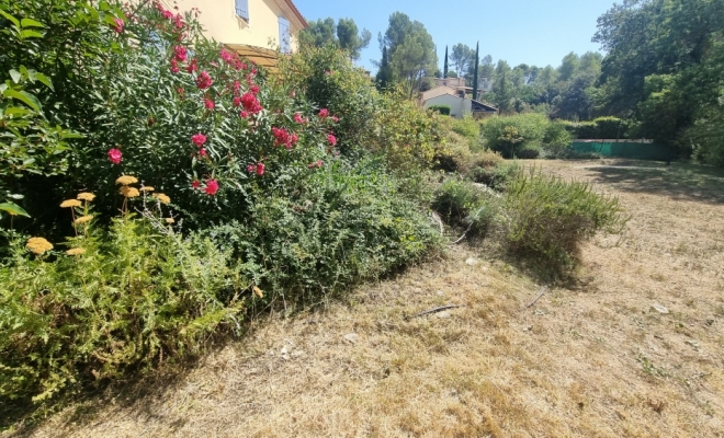 Entretien de jardin sur Montpellier , Saint-Clément-de-Rivière, RJ Aménagements Extérieurs