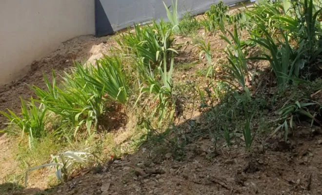 Terrassement en plein cœur sur Prades-le-Lez , Saint-Clément-de-Rivière, RJ Aménagements Extérieurs