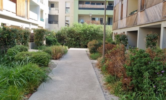 Entretien de jardin Sur Montpellier , Saint-Clément-de-Rivière, RJ Aménagements Extérieurs